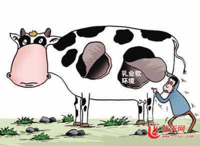 将对乳制品开展全国性综合治理